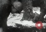 Image of American Troops use mine detectors in snow Germany, 1944, second 28 stock footage video 65675024444