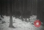 Image of American Troops use mine detectors in snow Germany, 1944, second 44 stock footage video 65675024444