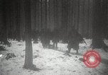 Image of American Troops use mine detectors in snow Germany, 1944, second 46 stock footage video 65675024444
