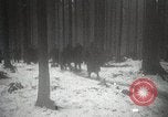 Image of American Troops use mine detectors in snow Germany, 1944, second 47 stock footage video 65675024444