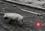 Image of Battle of the Bulge and American stand at Bastogne Belgium, 1944, second 8 stock footage video 65675024445