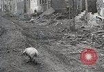Image of Battle of the Bulge and American stand at Bastogne Belgium, 1944, second 10 stock footage video 65675024445