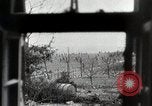 Image Cologne Allemagne tombe aux forces américaines en Seconde Guerre Mondiale Cologne Allemagne, 1945, de la seconde 23 séquences d'archives historiques vidéo 65675024448