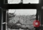 Image Cologne Allemagne tombe aux forces américaines en Seconde Guerre Mondiale Cologne Allemagne, 1945, de la seconde 24 séquences d'archives historiques vidéo 65675024448