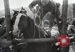 Image of US troops put on a rodeo in Germany Germany, 1944, second 9 stock footage video 65675024450