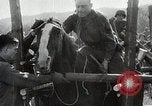 Image of US troops put on a rodeo in Germany Germany, 1944, second 10 stock footage video 65675024450