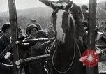 Image of US troops put on a rodeo in Germany Germany, 1944, second 11 stock footage video 65675024450