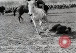 Image of US troops put on a rodeo in Germany Germany, 1944, second 25 stock footage video 65675024450