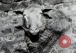 Image la destruction en Allemagne près de l'extrémité de Seconde Guerre Mondiale Allemagne, 1945, de la seconde 1 séquences d'archives historiques vidéo 65675024452