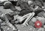 Image libération de soldats américains de camp de prisonniers allemands Allemagne, 1945, de la seconde 46 séquences d'archives historiques vidéo 65675024453