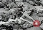 Image libération de soldats américains de camp de prisonniers allemands Allemagne, 1945, de la seconde 48 séquences d'archives historiques vidéo 65675024453