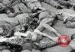 Image libération de soldats américains de camp de prisonniers allemands Allemagne, 1945, de la seconde 49 séquences d'archives historiques vidéo 65675024453