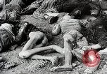 Image libération de soldats américains de camp de prisonniers allemands Allemagne, 1945, de la seconde 51 séquences d'archives historiques vidéo 65675024453
