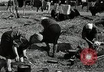 Immagine di Bomba ha danneggiato Norimberga Germania, 1945, secondo 57 filmato di repertorio 65675024476