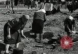 Immagine di Bomba ha danneggiato Norimberga Germania, 1945, secondo 59 filmato di repertorio 65675024476