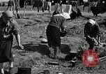 Immagine di Bomba ha danneggiato Norimberga Germania, 1945, secondo 60 filmato di repertorio 65675024476