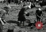 Immagine di Bomba ha danneggiato Norimberga Germania, 1945, secondo 61 filmato di repertorio 65675024476
