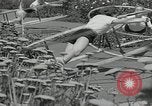 Immagine di Ginnastica in 1936 giochi olimpici Berlino Germania, 1936, secondo 9 filmato di repertorio 65675024479