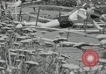 Immagine di Ginnastica in 1936 giochi olimpici Berlino Germania, 1936, secondo 10 filmato di repertorio 65675024479