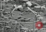 Immagine di Ginnastica in 1936 giochi olimpici Berlino Germania, 1936, secondo 11 filmato di repertorio 65675024479