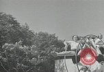 Immagine di Ginnastica in 1936 giochi olimpici Berlino Germania, 1936, secondo 18 filmato di repertorio 65675024479