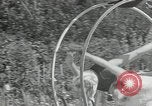 Immagine di Ginnastica in 1936 giochi olimpici Berlino Germania, 1936, secondo 56 filmato di repertorio 65675024479