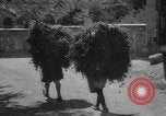 Immagine di Lavoratori La Russia, 1935, secondo 7 filmato di repertorio 65675024481