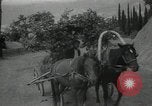 Immagine di Lavoratori La Russia, 1935, secondo 22 filmato di repertorio 65675024481