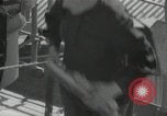 Immagine di Nave sul fiume Volga La Russia, 1935, secondo 30 filmato di repertorio 65675024482