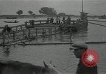 Immagine di Fiume Volga La Russia, 1935, secondo 11 filmato di repertorio 65675024484