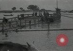 Immagine di Fiume Volga La Russia, 1935, secondo 14 filmato di repertorio 65675024484