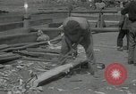 Immagine di Fiume Volga La Russia, 1935, secondo 38 filmato di repertorio 65675024484