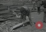 Immagine di Fiume Volga La Russia, 1935, secondo 39 filmato di repertorio 65675024484