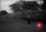 Standbild Zucker Entscheidungsfindung Ägypten, 1938, aus Sekunde 59 historischem Filmmaterial Videoclip 65675024514