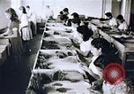 Immagine di Agenzia Di Informazioni degli Stati Uniti United States USA, 1954, secondo 19 filmato di repertorio 65675024521