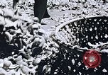 Immagine di Agenzia Di Informazioni degli Stati Uniti United States USA, 1954, secondo 25 filmato di repertorio 65675024521