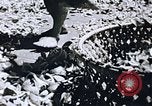 Immagine di Agenzia Di Informazioni degli Stati Uniti United States USA, 1954, secondo 26 filmato di repertorio 65675024521