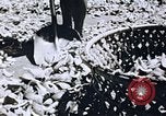 Immagine di Agenzia Di Informazioni degli Stati Uniti United States USA, 1954, secondo 27 filmato di repertorio 65675024521