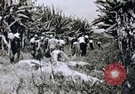 Immagine di Agenzia Di Informazioni degli Stati Uniti United States USA, 1954, secondo 28 filmato di repertorio 65675024521
