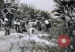 Immagine di Agenzia Di Informazioni degli Stati Uniti United States USA, 1954, secondo 29 filmato di repertorio 65675024521