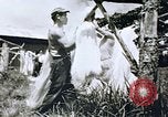 Immagine di Agenzia Di Informazioni degli Stati Uniti United States USA, 1954, secondo 31 filmato di repertorio 65675024521
