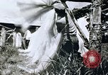 Immagine di Agenzia Di Informazioni degli Stati Uniti United States USA, 1954, secondo 33 filmato di repertorio 65675024521