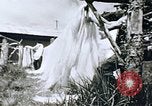 Immagine di Agenzia Di Informazioni degli Stati Uniti United States USA, 1954, secondo 34 filmato di repertorio 65675024521
