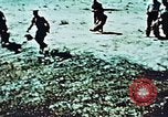 Image of locust plague Iran, 1951, second 4 stock footage video 65675024525