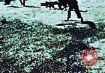 Image of locust plague Iran, 1951, second 5 stock footage video 65675024525