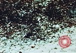Image of locust plague Iran, 1951, second 8 stock footage video 65675024525