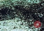 Image of locust plague Iran, 1951, second 10 stock footage video 65675024525