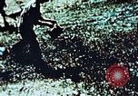 Image of locust plague Iran, 1951, second 12 stock footage video 65675024525