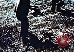 Image of locust plague Iran, 1951, second 17 stock footage video 65675024525