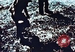 Image of locust plague Iran, 1951, second 18 stock footage video 65675024525